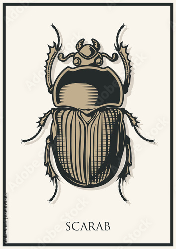 Scarab Bug, Dor-Beetle Vector Drawing 