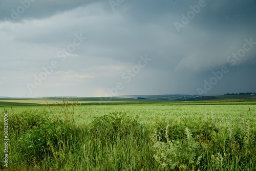 Beautiful green field landscape before rain. Countryside village rural natural background at sunny weather in spring summer. Green grass and blue sky with clouds. Nature protection concept.