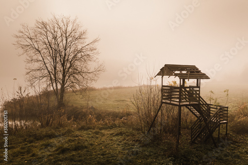 Hunting tower standing by lake shore and lonely tree, foggy morning with sunrise. © Mateusz Łopuszyński