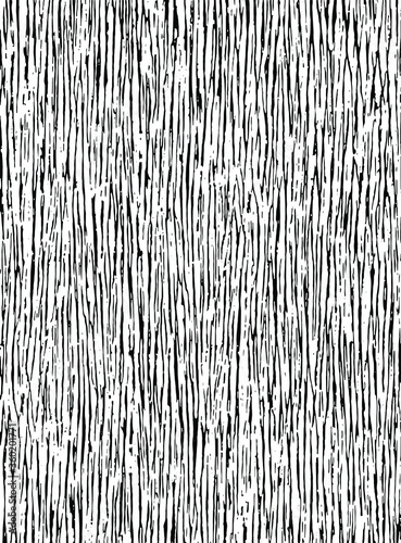 Abstract vector background. Monochrome texture. Image includes a effect the black and white tones. EPS10 