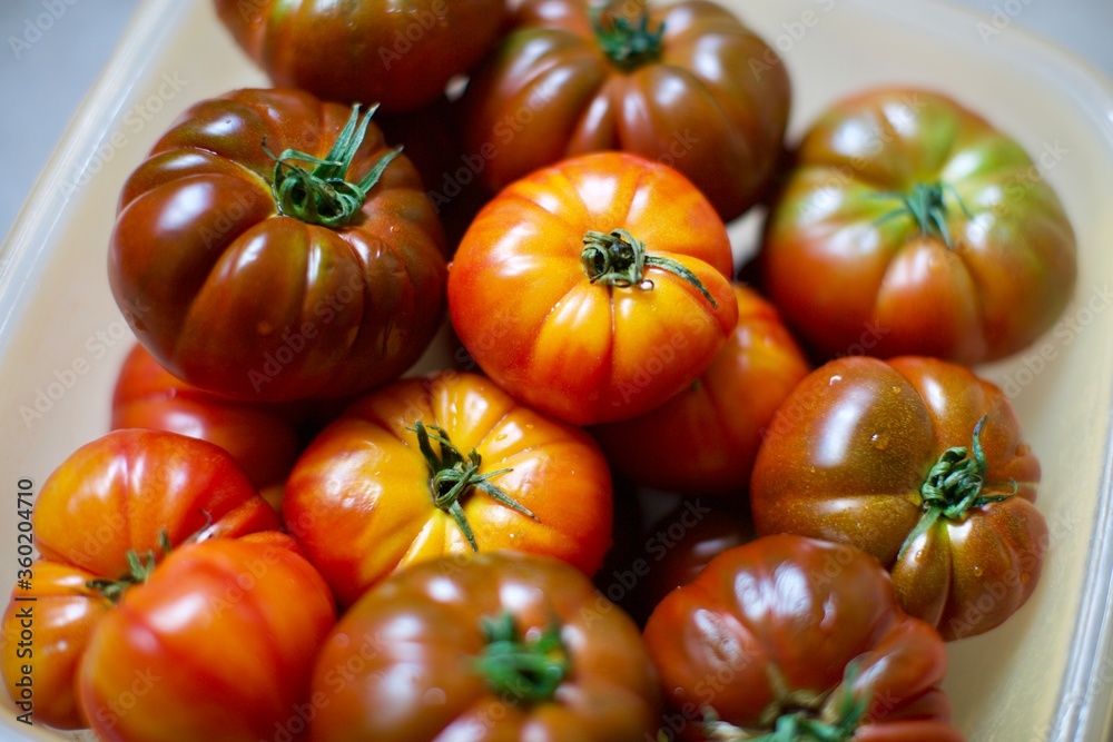 Close-up view of fresh tomatoes. Organic tomatoes grown in the village and standing in the basket. Close-up view of fresh tomatoes. Organic tomatoes grown in the village and standing in the basket.