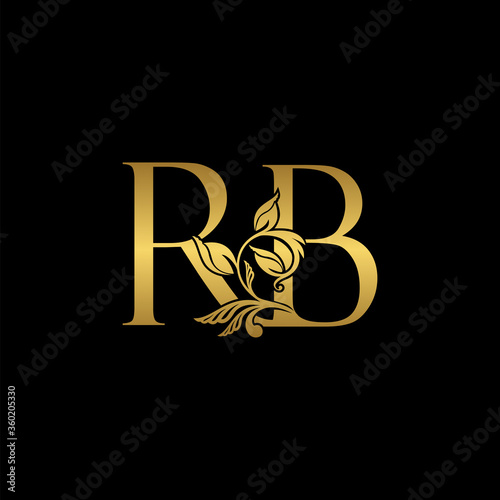 Golden Initial Letter R and B, RB Luxury Logo Icon, Vintage Gold Letter Logo