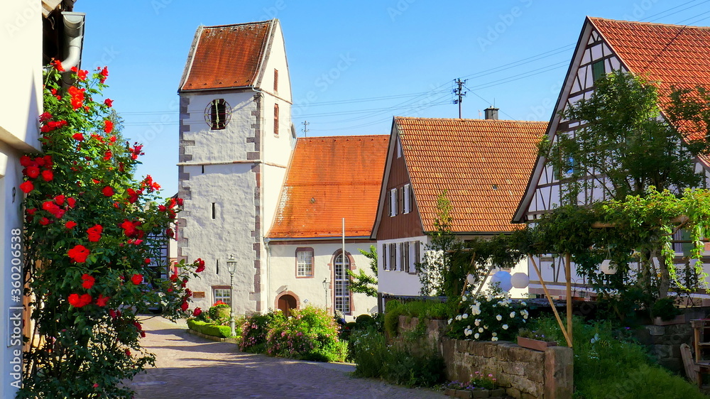 idyllischer Schwarzwaldort Zavelstein mit Kirche, Fachwerkhaus und roten Rosen