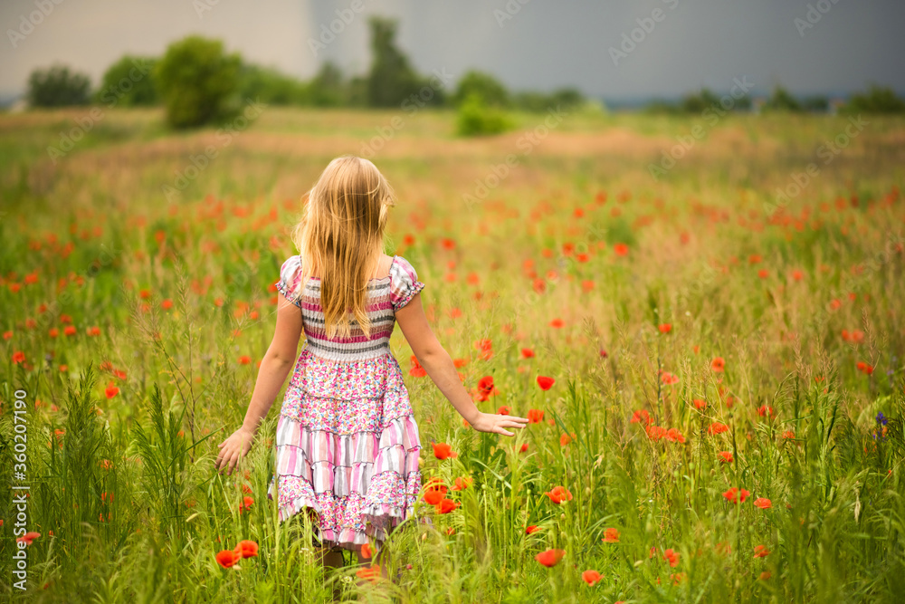 Faceless blonde girl walking away on meadow in poppies field in colorful dress before rain. Happy summer concept. Close to nature. Allergy time. Blonde hair and red poppy. Faceless blonde girl walking away on meadow in poppies field in colorful dress before rain. Happy summer concept. Close to nature. Allergy time. Blonde hair and red poppy.