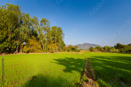 Green Ba Ria landscape in southern Vietnam