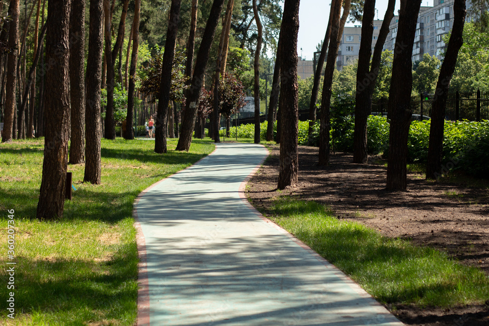 jogging track in a pine park