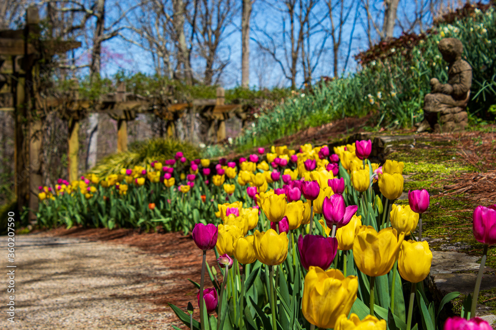 Flowers in Bloom Flowers in Bloom