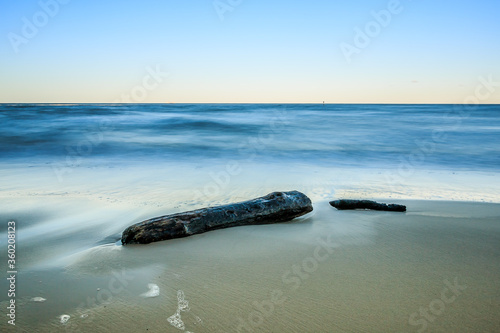 Baltic beach with two old tree trunks. Sandy beach with small waves in the evening. Autumn mood on the island of Rügen with blue sky on the horizon