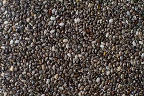 Macro photo of chia seeds. Superfoods, healthy black seeds organic, source of omega 3, calcium and iron. Proper nutrition, diet and health care.
