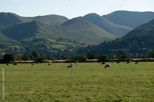 View of the Derwent Valley, near Keswick in the English Lake District, Cumbria