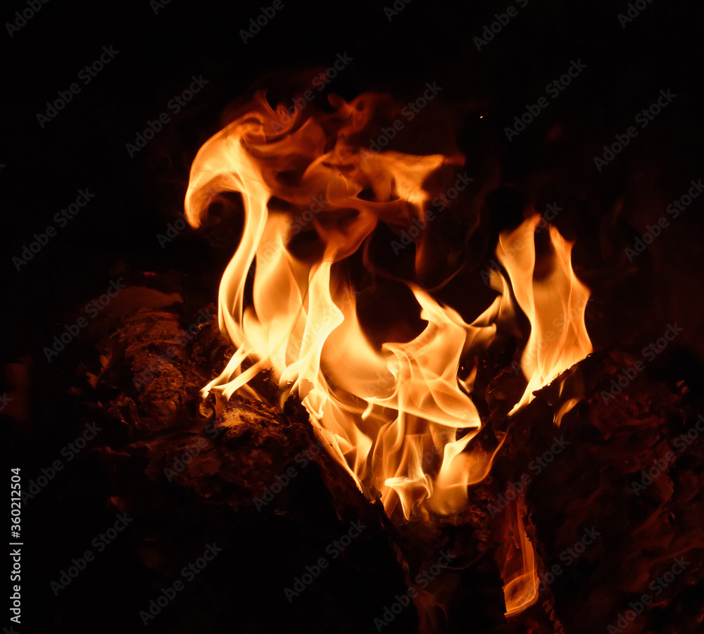 Bright orange flame of a night bonfire looming over a horse. Bright orange flame of a night bonfire looming over a horse.