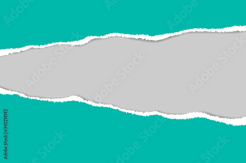 Vector of ripped paper. The paper was ripped background.