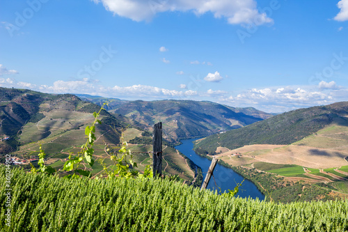 Douro Valley landscape photo