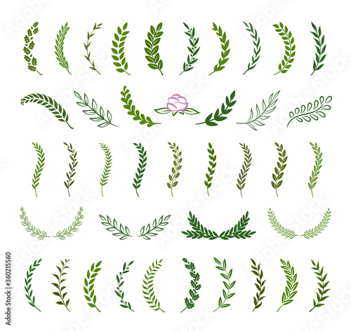 Set of green silhouette tree branches with laurel, oak and olive foliate. Vector illustration for your frame, border, ornament design, wreaths depicting an award, achievement, heraldry, emblem, logo.