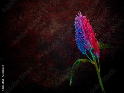 Color Lighting Flower