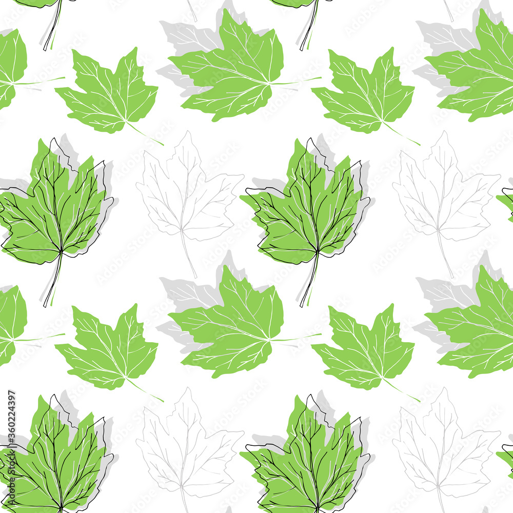 Seamless floral pattern. Abutilon. Floral design. Botanical design. Flowers