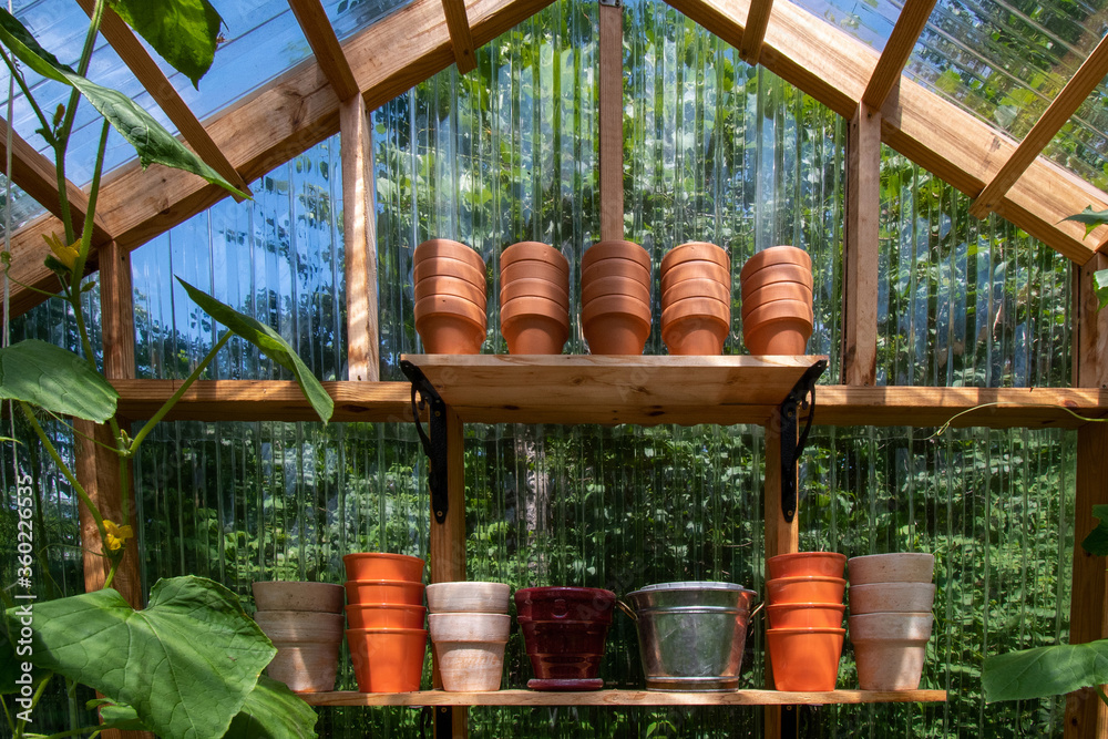 Fototapeta premium Interior of a wooden domestic greenhouse for growing vegetables