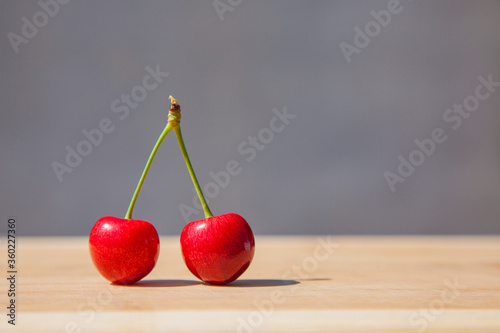 Two ripe and red berries of a sweet cherry on a double tail on a gray background