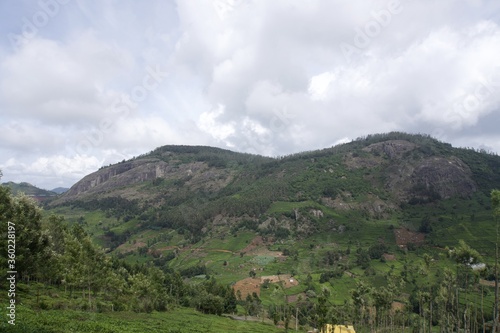 Nature with landscape and tea garden  © karthikeyan