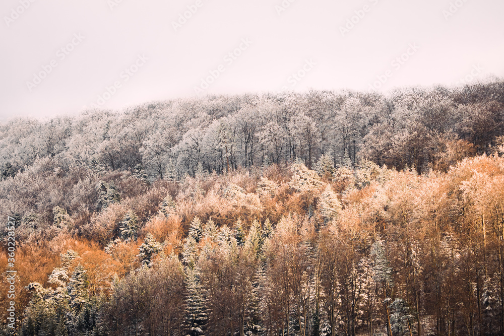autumn in the mountains autumn in the mountains