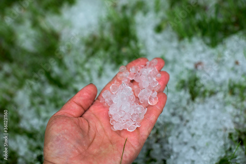 Hail in the garden - ice cubes on the grass and in hand