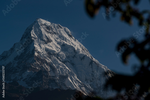 Annapurna South, also called Annapurna Dakshin or Moditse, is in the Annapurna Himal range in Himalayas, and the 101st-highest mountain in the world.