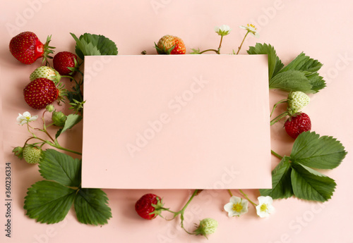 Composition of strawberries with green leaves ,flowers on a pink background. . torn paper. concept of summer freshness.Copy space, flat lay,mock ap