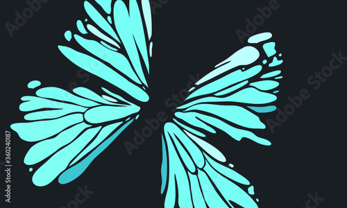 Photography Butterfly color style vector with black background