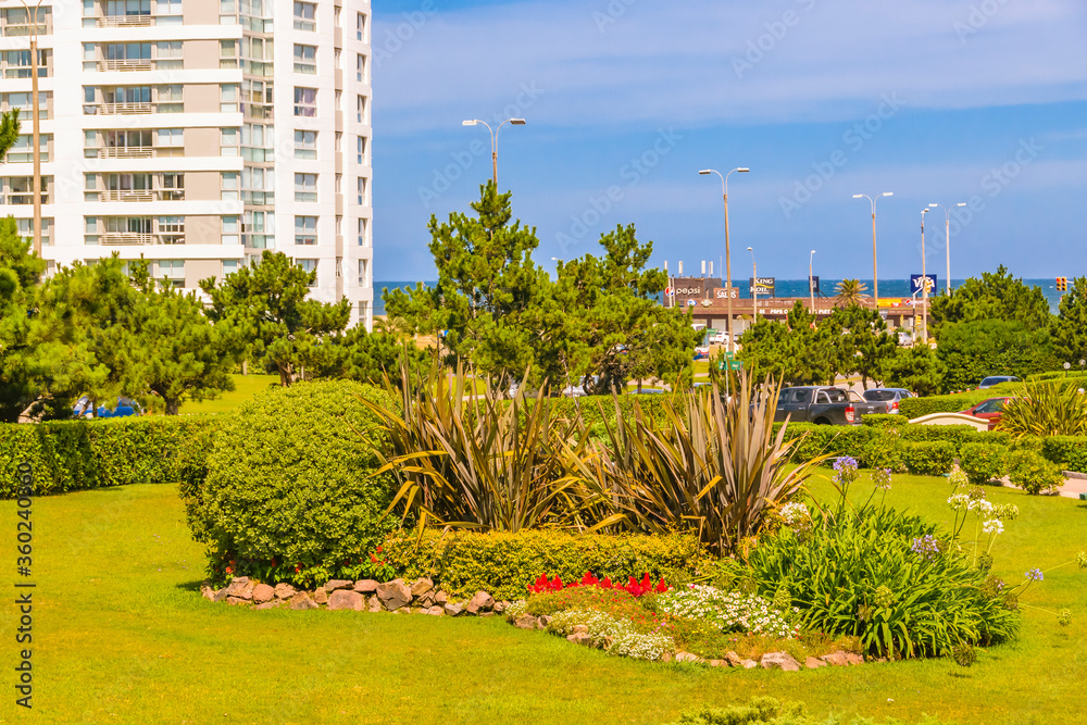Obraz premium Ogród zewnętrzny, Punta del Este, Urugwaj