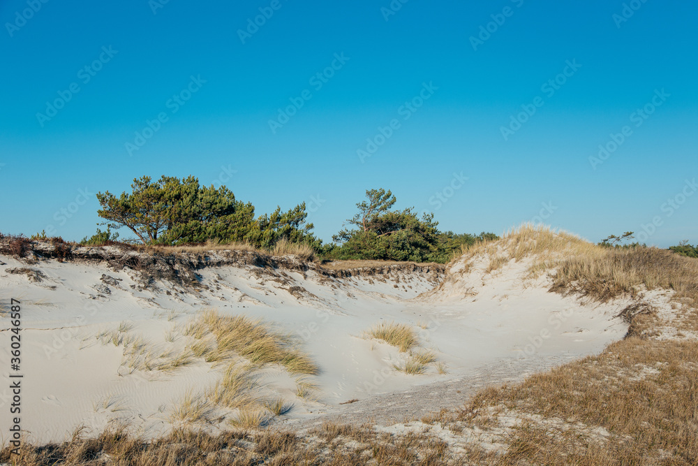 beautiful landmark darß on the baltic sea in germany beautiful landmark darß on the baltic sea in germany