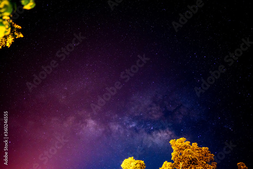 Stars milky way galaxy on nigth sky, milkyway is beauty nebula in universe, light stars on nature blue dark background  from telescope view and tree 