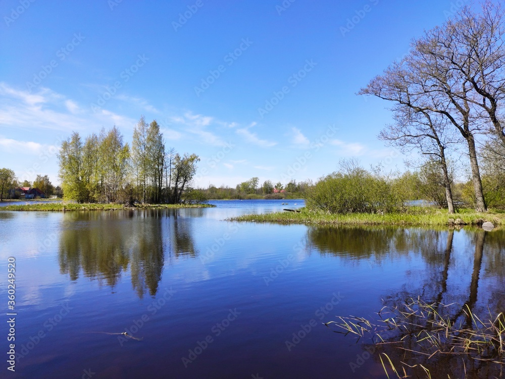 lake in the park