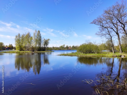 lake in the park