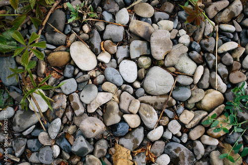 Many small stones. Beach with stones and green grass. Pebble stones. 