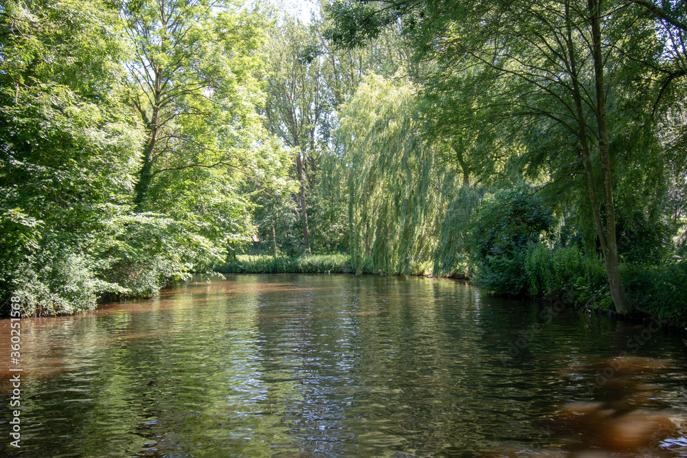 the river in the park the river in the park