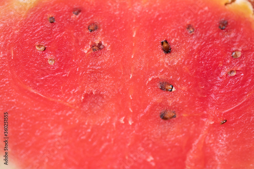 watermelon fruit red fresh ...