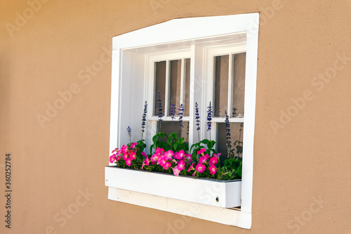 Window Box with Flowers on an Adobe House