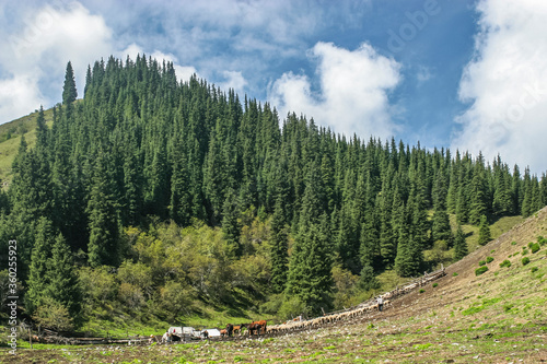 Allphotokz Lake Kolsay-2 Way 20050813 2177 20D S