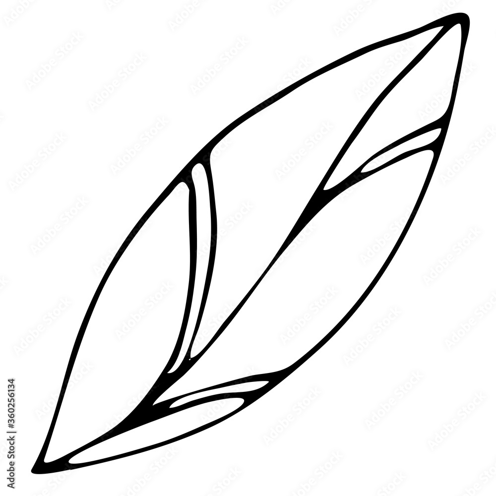 autumn leaf, freehand drawing, vector element in doodle style, coloring book, black outline autumn leaf, freehand drawing, vector element in doodle style, coloring book, black outline