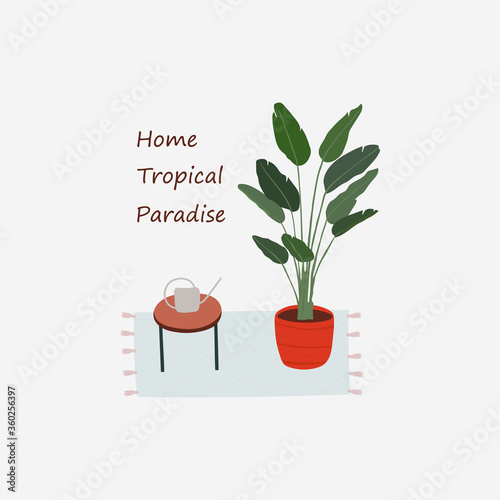 Modern card with house plant and watering can on table. Caring for indoor plants. Hobby. Vector flat illustration card witn text Home Tropical Paradise.
