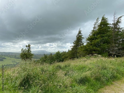 Heavy rain clouds, trees and long grass,  above the hills near, Wycoller, Colne, UK photo