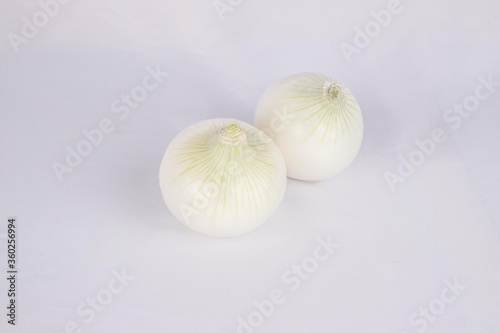 Cebolla, Onion