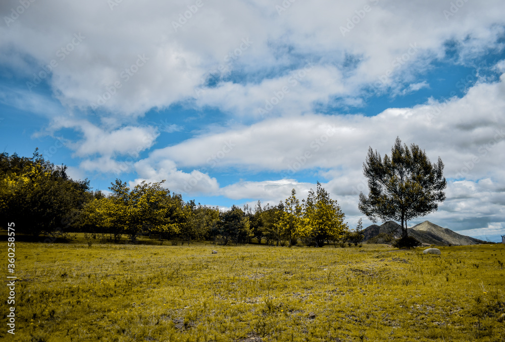 Obraz premium autumn landscape with trees and clouds