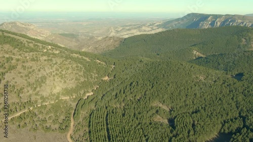Vuelo sobre bosques