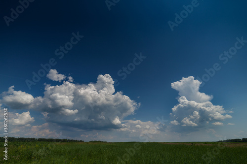 Daytime landscape with green field and beautiful cumulus white clouds in the blue sky