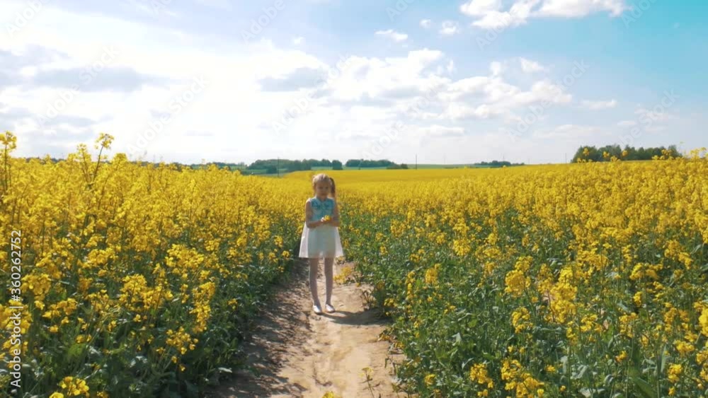 Cute little child girl in dress standing in blooming  yellow flower field holding flowers in summer. Happy children childhood happy family. The concept of a carefree childhood