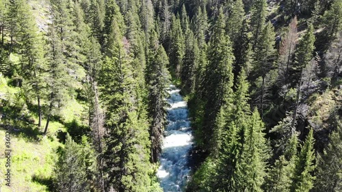 Lostine river flowing through the Eagle Cap Wilderness of Wallowa-Whitman National Forest (4k) photo