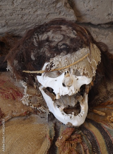 Принти на полотні Mummies on the Chauchilla-cemetery (Nazca culture, Peru)