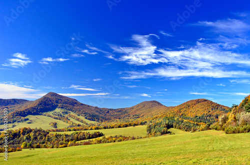  Autumn mountains landscape. Trees on a slope with dry grass and wooded mountains under blue sky with white clouds, Low Beskids (Beskid Niski)