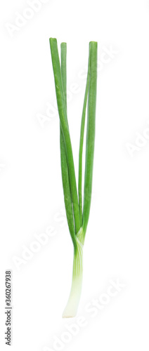 Fresh green spring onion isolated on white